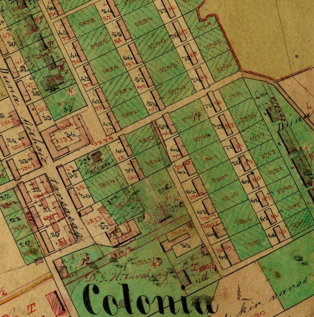 Colonia, 1865